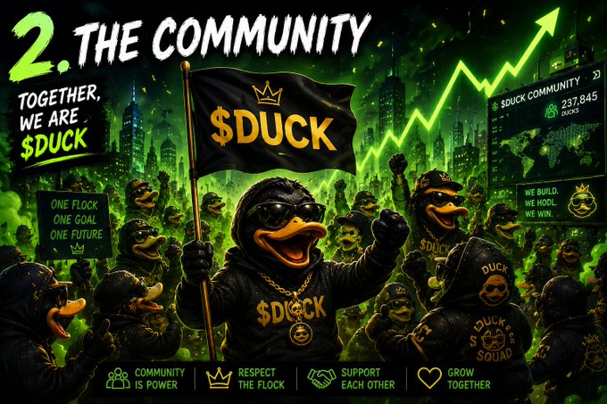 The image features a cartoon duck holding up a black flag with the words "The Community" written above it, surrounded by other ducks wearing hoodies. The text also mentions that this is part of a community NFT project called "The Community".
