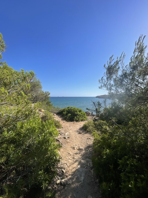 Photograph of a sunlit coastal path leading down to a calm blue sea, framed by green bushes and trees under a clear sky.