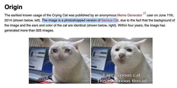 A screenshot showing the origin of the 'Crying Cat' meme, displaying the original cat image and its photoshopped version labeled 'Serious Cat' with the caption 'I are serious cat. This is serious thread.'
