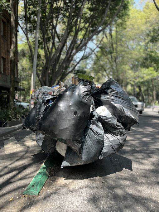 A pile of black garbage bags sits on a tree-lined street, apparently tied around a wooden plank or piece of furniture being moved.