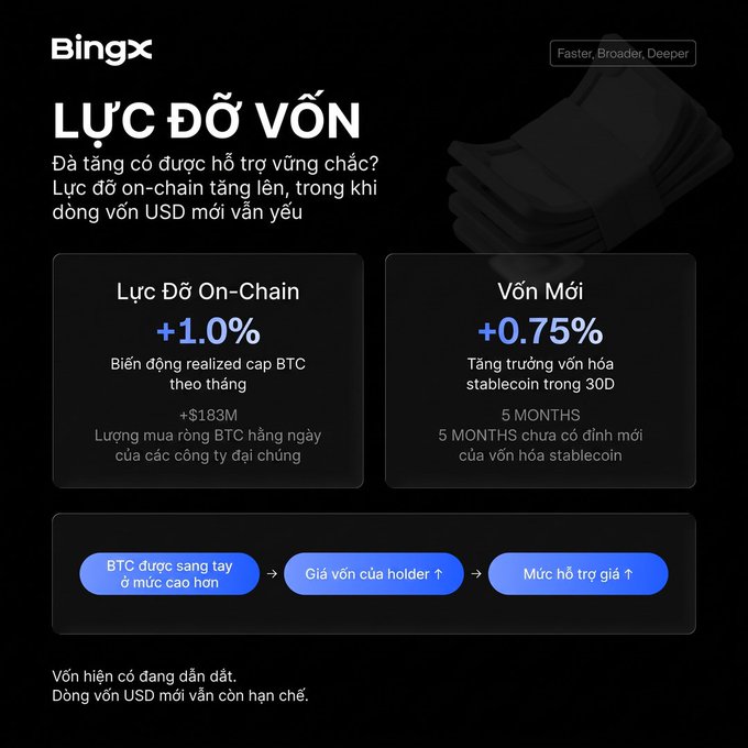 A dark-themed cryptocurrency graphic from BingX titled 'LỰC ĐỘ VỐN' displays on-chain metrics, showing '+1.0%' for 'Lực Độ On-Chain' and '+0.75%' for 'Vốn Mới' in blue text.