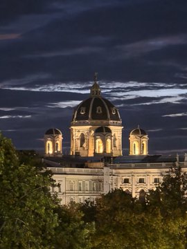 A domed classical building is illuminated at night against a dark blue cloudy sky, with tree branches visible in the foreground.