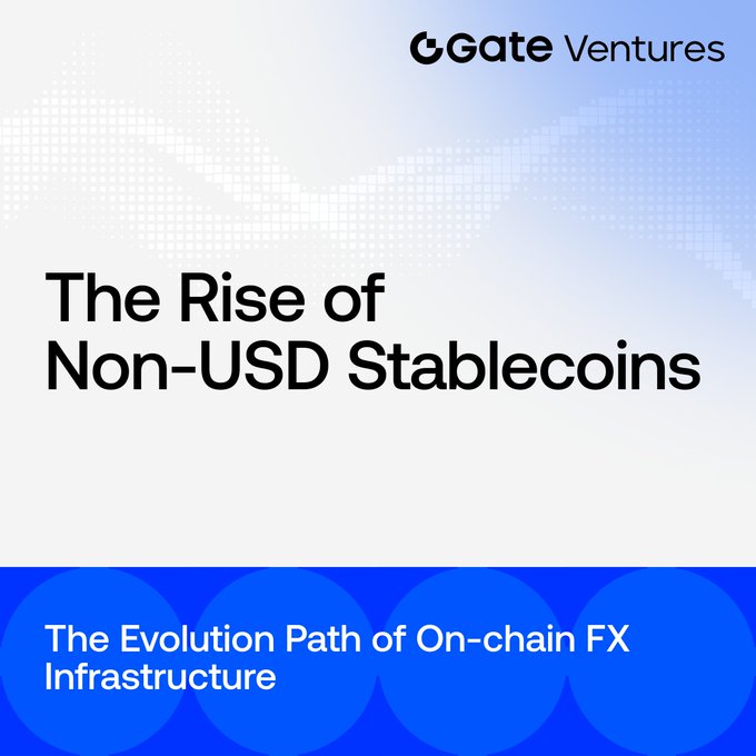 The image shows a blue cover with white text that reads "The Rise of Non-USD Stablecoins" and "The Evolution Path of On-chain Fx Infrastructure". The title of the post is "The Evolution Path of On-chain Fx Infrastructure", which is written in black text. The background of the image features a patterned blue color, with white dots scattered throughout it.