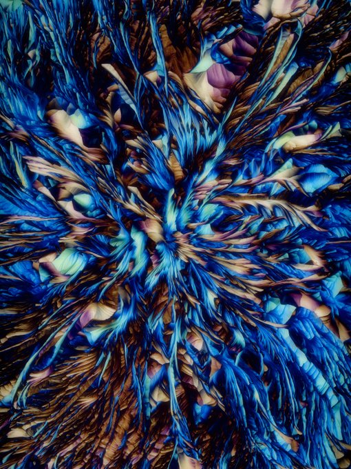 An abstract digital artwork featuring a chaotic, swirling burst of blue, brown, and beige fibrous shapes radiating outward from a central point.