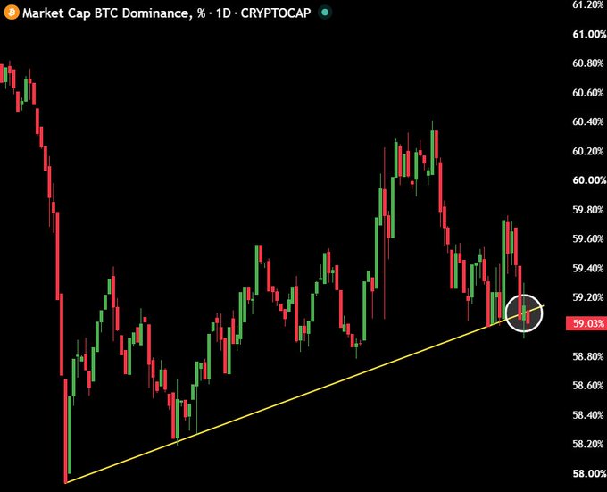 A TradingView candlestick chart titled 'Market Cap BTC Dominance, % · 1D · CRYPTOCAP' shows BTC dominance at 59.03%, with a yellow uptrend line and a circled area highlighting recent price action.