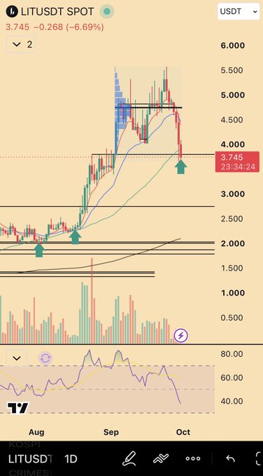 A TradingView daily chart for LIT/USDT shows the token down 6.69% at 3.745, with price recently pulling back toward a 4.000 support zone after a sharp rally from around 2.000 in August to highs near 5.500 in September, aligning with the poster's plan to buy the dip as a potential reversion bounce. The accompanying RSI near oversold levels and highlighted support arrows visually support their setup for accumulating $LIT in the 3.000–4.000 area.