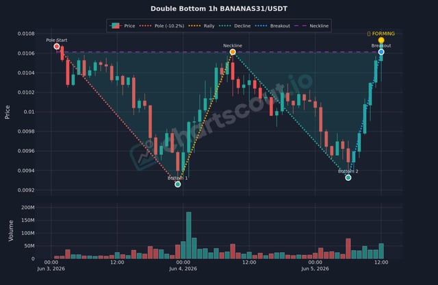 A chart with a downward sloping line, showing a double bottom setup for bananas/usd3 trade. The chart indicates that there have been no price actions below this level during the given period.