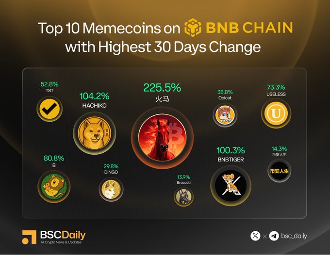 The image shows a chart displaying various coins on an online trading platform, specifically BNB Chain. The chart lists the top 10 most valuable coins with their highest price change over the past 30 days. The coins include Bitcoin, Ethereum, Ripple, Litecoin, Dogecoin, BscDaily, HachikoInuCTO, BnbTigerInu, and Umbrella. Each coin is represented by its own circle on the chart, showing the current value as well as the change over time for that particular coin. The highest price changes are displayed in a clear manner, allowing viewers to easily compare and understand the market trends of each coin at a glance.