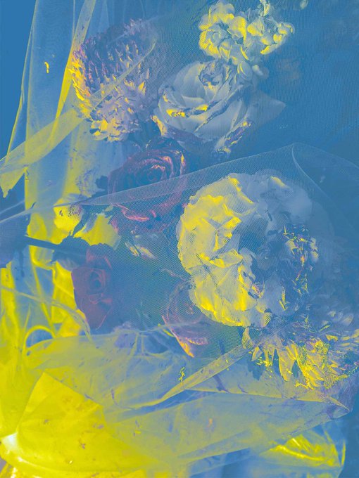The image features a close-up view of a bouquet of flowers, including roses and daisies, arranged against a blue background with white clouds. The flowers are positioned at various angles within the frame, creating an interesting visual effect as they appear to be falling or cascading down from above. The post "‘Ceaseless Light' As The Veil Falls on ordinals" suggests that this image is related to a series of posts about the concept of time and its impact on our perception of events.
