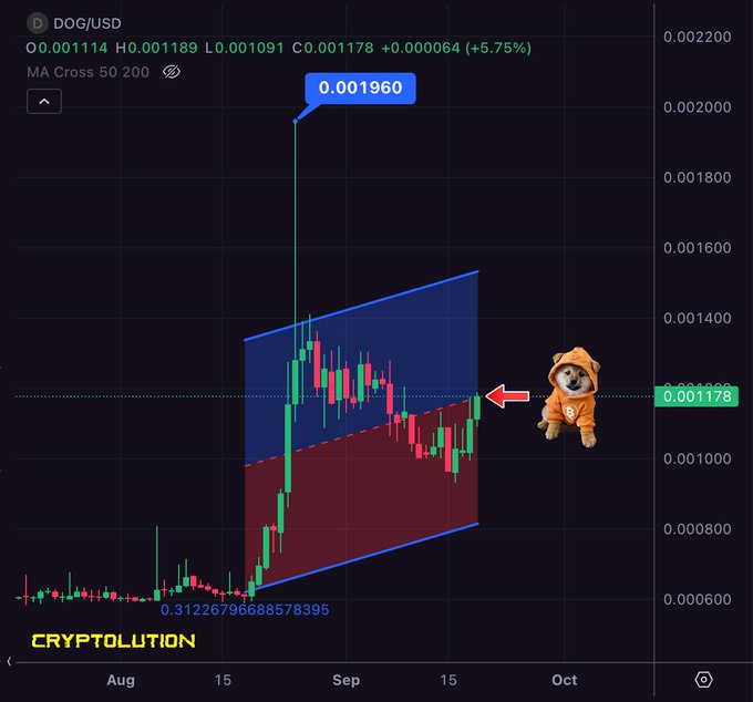 A DOG/USD cryptocurrency chart from "CRYPTOLUTION" showing a price of 0.001178 (+5.75%) with a doge mascot illustration and technical analysis channels drawn on the candles.
