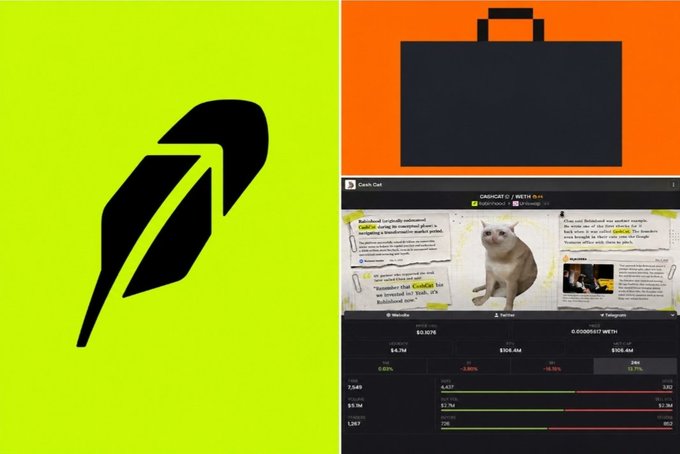 A graphic featuring a green stylized feather/leaf logo on the left, and on the right, an orange shopping bag above a screenshot of a CoinGecko "CatCoin" listing featuring a cat.