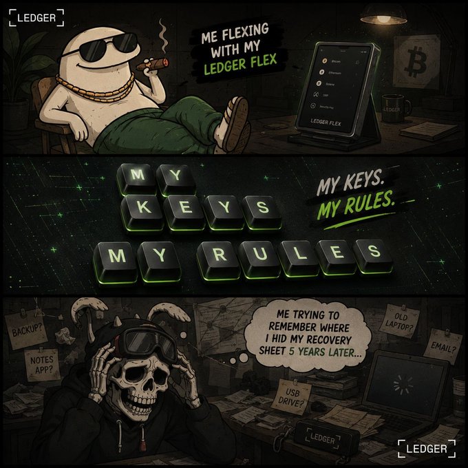 A three-panel Ledger advertisement featuring cartoon characters with text including 'ME FLEXING WITH MY LEDGER FLEX', 'MY KEYS. MY RULES.', and 'ME TRYING TO REMEMBER WHERE I HID MY RECOVERY SHEET 5 YEARS LATER...'