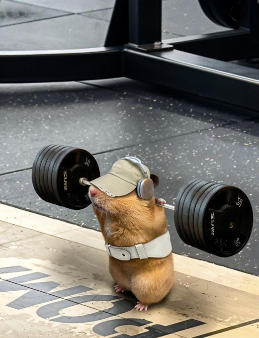 An AI-generated image of a hamster wearing a cap, headphones, and lifting a heavy barbell in a gym setting.