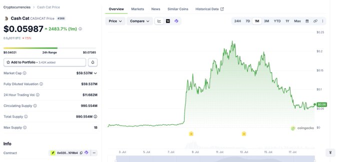 A cryptocurrency price chart for Cash Cat (CASH CAT) showing a price of $0.05987, up 2483.7%, with a market cap of $59.537M and a 24-hour trading volume of $11.682M, displayed on CoinGecko.