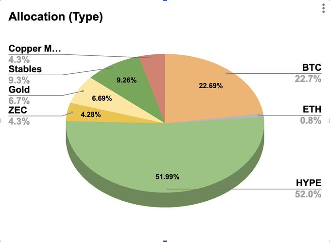 A pie chart titled 'Allocation (Type)' displaying the following portfolio breakdown: HYPE 52.0%, BTC 22.7%, Stables 9.26%, Gold 6.69%, Copper M... 4.3%, ZEC 4.3%, and ETH 0.8%.
