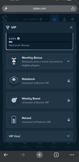 A mobile screenshot of the stake.com website shows a VIP menu with a 6.04% progress bar toward Bronze level, listing benefits like Monthly Bonus, Rakeback, and Weekly Boost.