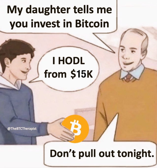 A cartoon meme from @TheBTCTherapist depicting two characters shaking hands with a Bitcoin logo, where one says 'My daughter tells me you invest in Bitcoin', the other replies 'I HODL from $15K', and a caption reads 'Don't pull out tonight.'