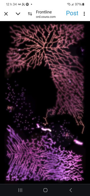 A screenshot from Frontline (ord.osura.com) showing pink and purple generative artwork resembling branching, neural-like patterns on a dark background.