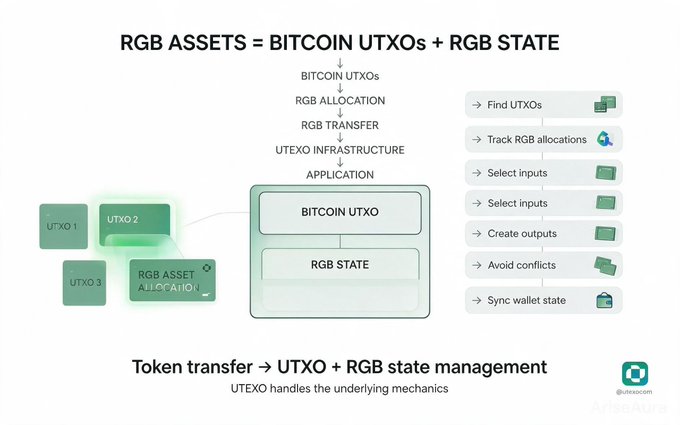 An educational diagram titled 'RGB ASSETS = BITCOIN UTXOs + RGB STATE' explaining token transfer mechanics through UTXO infrastructure and RGB state management.