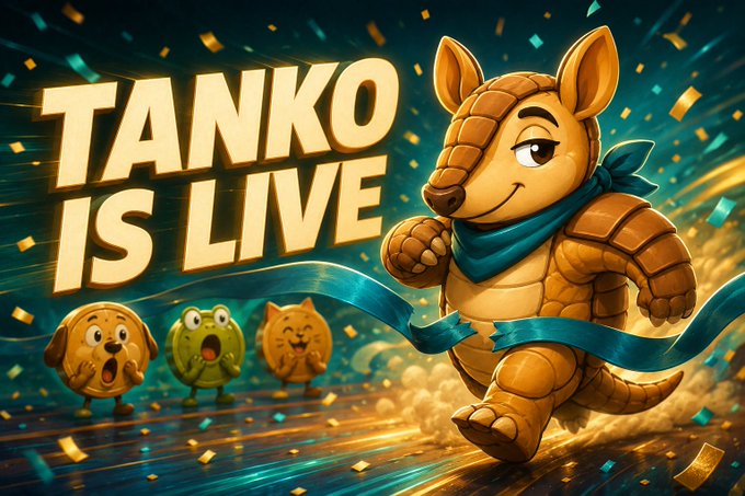 A vibrant promotional banner reading "TANKO IS LIVE" features an anthropomorphic armadillo character running forward with smaller animal mascots behind, surrounded by gold confetti.