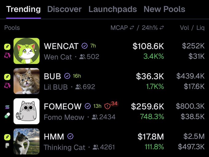 A screenshot of a "Trending" crypto pools page showing four cat-themed tokens: WENCAT (MCAP $108.6K), BUB ($36.3K), FOMEOW ($259.6K, up 748.3%), and HMM ($17.8M), visually reinforcing the post's claim that all of today's top trending coins are cat-themed.