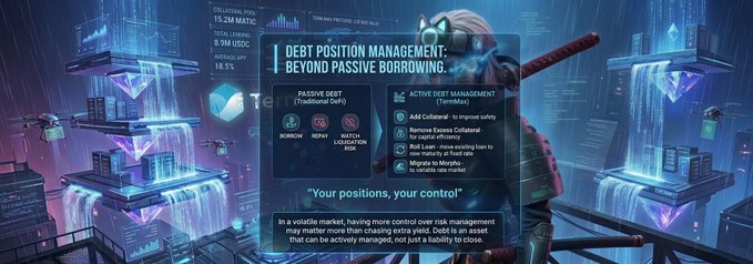 The image features a poster with an illustration of a cityscape, which serves as the background for the text displayed below. The poster includes information about " Debt Position Management Beyond Ponzi", along with a list of options available to users. The focus on both positive and negative aspects of this service highlights its potential benefits and risks, allowing viewers to make informed decisions when considering whether or not to use it.
