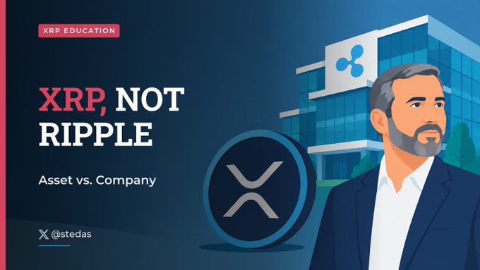 Educational graphic titled 'XRP, NOT RIPPLE' subtitled 'Asset vs. Company' from @stedas, showing an illustration of Ripple's CEO and the XRP logo.