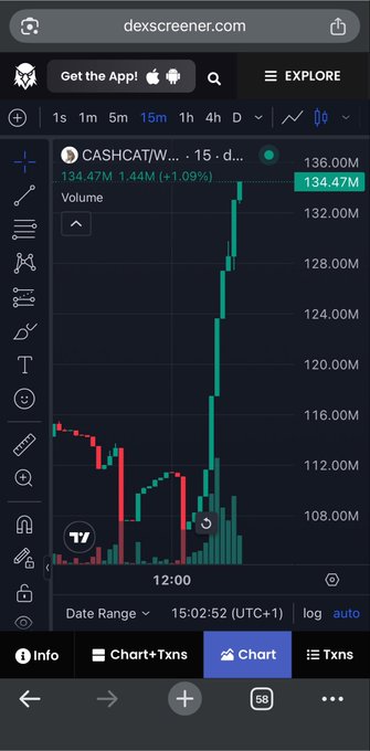 A Dexscreener chart displays the CASHCAT/W... token on a 15-minute timeframe, showing a price of 134.47M with a +1.09% gain and a sharp upward spike to 136.00M, illustrating the bullish momentum behind the "Sunday Funday $CASHCAT" celebration.