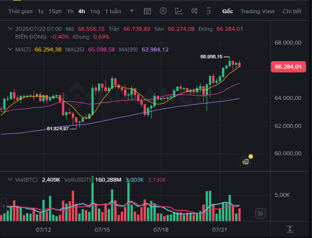 A Binance candlestick chart showing Bitcoin (BTC/USDT) trading data for July 2026, with current price at 66,284.01, down 0.40%, displaying MA(7), MA(25), MA(99) indicators and volume bars.