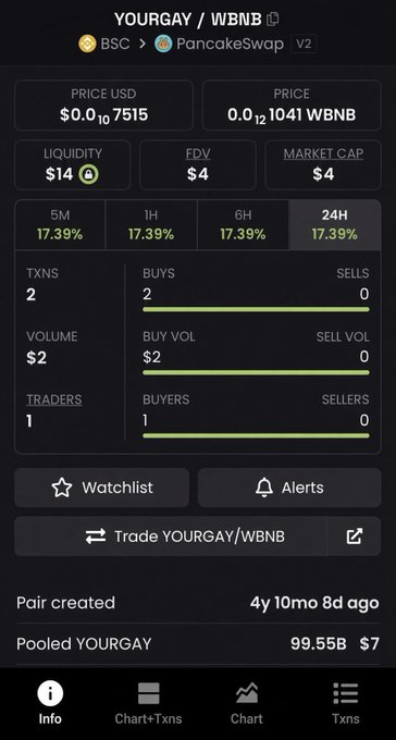A mobile screenshot of a PancakeSwap V2 token tracking page displaying the YOURGAY/WBNB pair on BSC, showing a price of $0.00107515 USD (0.00001041 WBNB), liquidity of $14, FDV of $4, and market cap of $4, with a 24H price change of 17.39% across all timeframes, only 2 transactions, 1 trader, and $2 volume from the pair created 4 years, 10 months, and 8 days ago—directly contrasting the post's hyped "293x" claim by revealing the token's extremely low liquidity, minimal trading activity, and nearly negligible market cap.