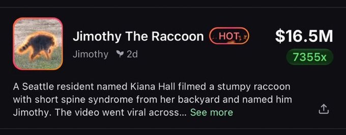 The image shows a social media/trading post for the memecoin "Jimothy The Raccoon" ($Jimothy), currently marked as "HOT" with a $16.5M market cap and a 7355x gain displayed. It features a photo of a stumpy raccoon with short spine syndrome, named Jimothy, who went viral after being filmed by Seattle resident Kiana Hall, aligning with the post's promotion of the token's massive returns.