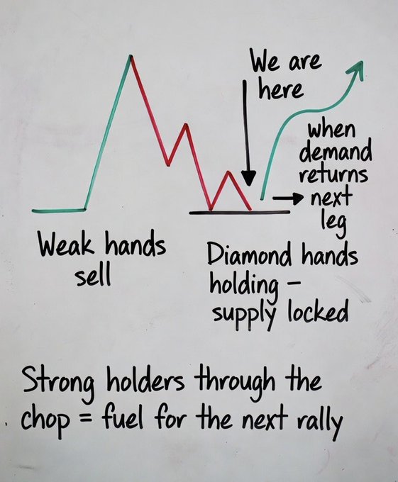 The image is a hand-drawn chart depicting a market cycle, with a green line labeled "Weak hands sell" followed by a red choppy section labeled "Diamond hands holding — supply locked," and an arrow pointing up labeled "We are here / when demand returns next leg," with the caption "Strong holders through the chop = fuel for the next rally."

It visually supports the post's message about "$ANSEM" by illustrating how weak hands selling off allows diamond-handed holders to accumulate locked-in supply, setting the stage for the next bullish leg up.