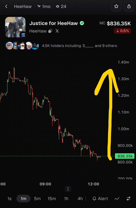 A cryptocurrency price chart for 'HeeHaw' token (ticker not fully visible) showing the price dropping to $836.35K, with a yellow arrow drawn indicating a sharp decline.