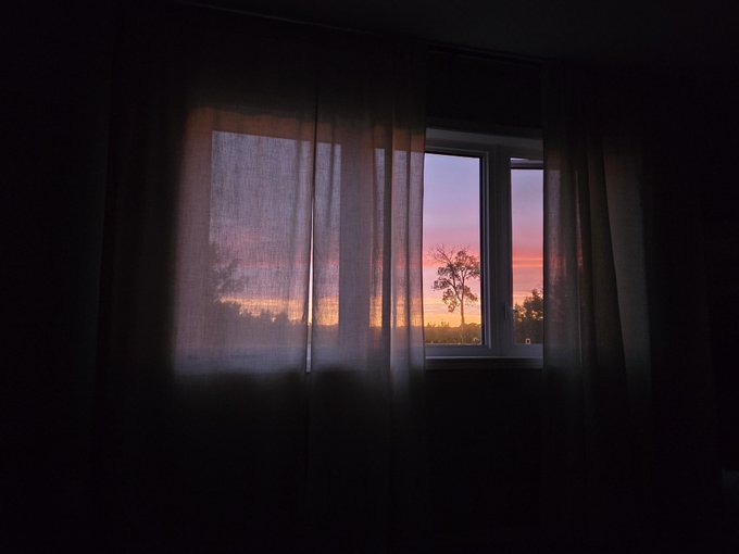 Moody photograph of a window at sunset viewed through sheer curtains, with a silhouetted tree visible against a pink and orange sky, the rest of the room in deep shadow.