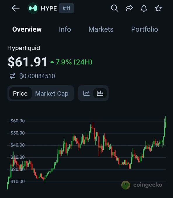 The image shows a screenshot of an Overview page with Hyperliquid being the main focus. The background reveals data points that are connected by lines, indicating a market trend, possibly related to cryptocurrency or tokens. In the caption provided, the focus is on the Hyperliquid token's price performance over time. This information can be valuable for investors, as it highlights how tokens can react and fluctuate in response to market conditions, enabling them to make informed decisions about their investments in this space.