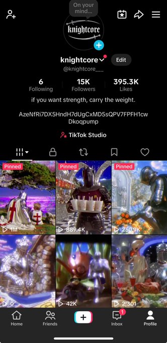 A TikTok profile screenshot of "knightcore" (@knightcore__) showing 15K followers, 395.3K likes, and the bio "if you want strength, carry the weight." along with the pinned pinned posts celebrating their first 1 million views milestone.