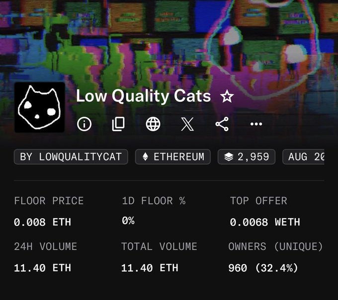 Screenshot of the OpenSea listing for the "Low Quality Cats" NFT collection, showing a floor price of 0.008 ETH, 24H volume of 11.40 ETH, and 960 unique owners—metrics that align with the post's mention of the project's current 0.008 ETH price point following its free mint launch.