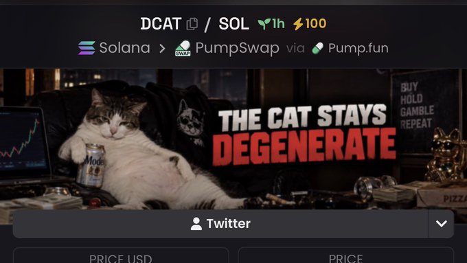 A webpage screenshot showing the DCAT/SOL trading pair on PumpSwap via Pump.fun, featuring a meme image of a chubby cat lounging with a beer that reads "The Cat Stays Degenerate" alongside "Buy Hold Gamble Repeat" text. The image aligns with the post's bullish sentiment about low-cap cat-themed Solana tokens ($Dcat, $Solcat, $Zcat) being "undervalued."