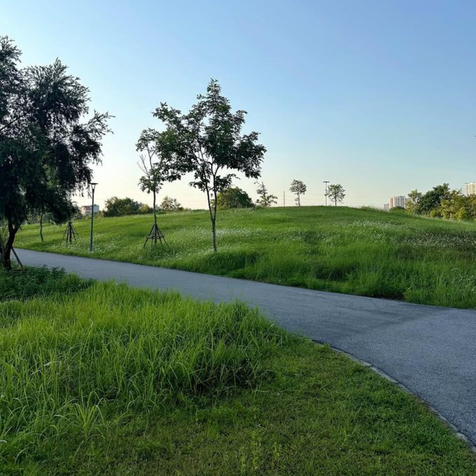 A serene park landscape features a paved pathway winding through lush green grass and scattered trees under a clear blue sky.