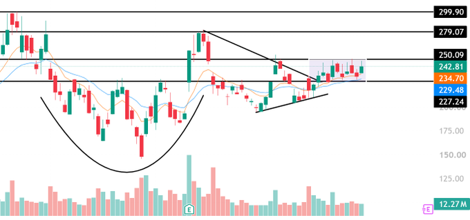 Stock/crypto candlestick chart showing a 'cup and handle' pattern with price levels including 299.90, 279.07, 250.09, 242.81, 234.70, 229.48, 227.24.