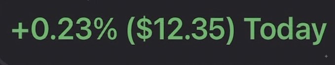 A black banner with green text reading '+0.23% ($12.35) Today'.