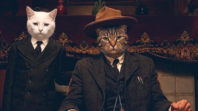 A digitally edited image featuring two cats with human bodies dressed in formal suits, one white cat standing behind a brown tabby cat wearing a hat.
