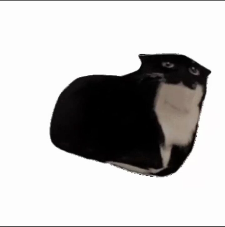 The image features a black and white cat sitting upright with its eyes wide open, giving an impression of surprise or curiosity. The cat appears to be looking at something off-camera, possibly capturing the viewer's attention. The background of the image is plain white, which contrasts with the cat's dark fur and highlights it as the main subject in the photo.