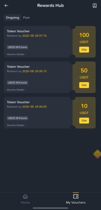 A Rewards Hub app screen displaying token vouchers of 100, 50, and 10 USDT redeemable by 2026-08-28.