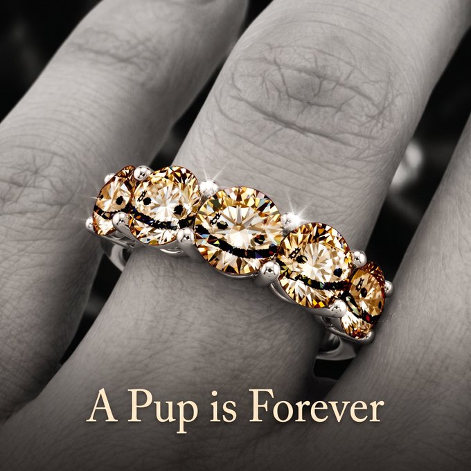 A black and white photograph of a hand wearing a silver ring with five orange/champagne-colored gemstones, captioned 'A Pup is Forever'.