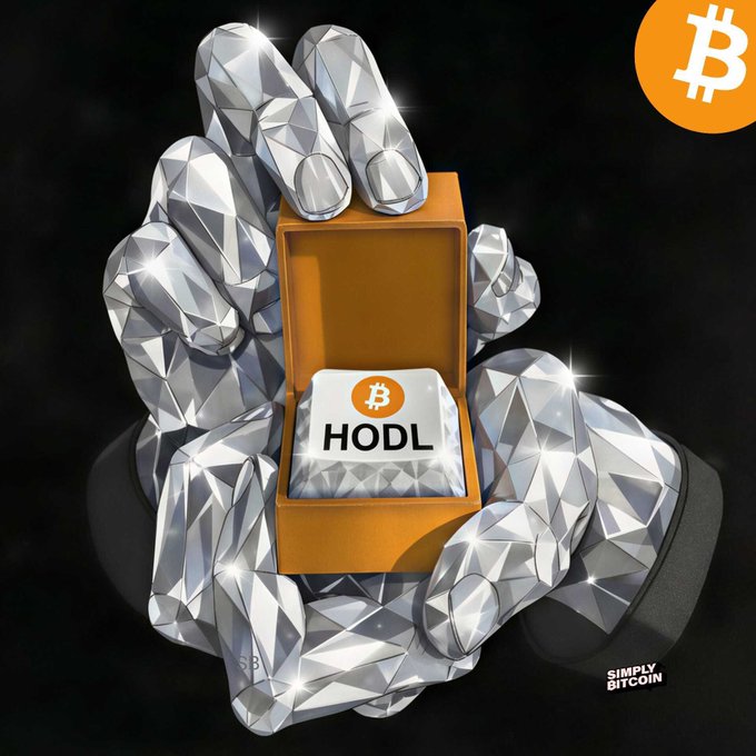 The image features a pair of hands holding an orange box with a white "HODL" sign on it, surrounded by small diamonds that give it a shiny appearance. The background of the image is black, which contrasts with the vibrant colors of the box and diamonds. The text "HODL Bitcoin" is also present in the image, indicating the connection to the Bitcoin cryptocurrency.