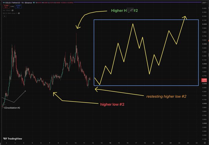 A TradingView chart of EGLD/USDT on Binance with annotations showing 'Higher H...#2', 'higher low #2', 'restesting higher low #2', and 'Consolidation #2'.