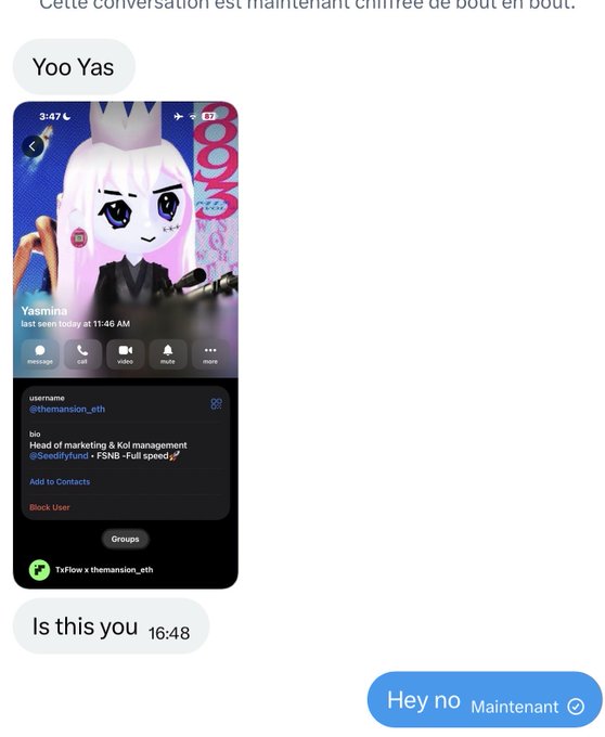 A messaging app conversation screenshot showing a contact profile for 'Yasmina' (@themansion_eth) with an anime-style avatar and bio mentioning 'FSNB - Full speed', followed by messages 'Is this you' and 'Hey no'.