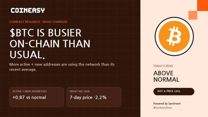 A Coineasy Research graphic titled "$BTC IS BUSIER ON-CHAIN THAN USUAL" displays that active and new addresses are +0.87 vs normal, with a 7-day price change of -2.2%. The right panel shows a Bitcoin logo, "TODAY'S READ: ABOVE NORMAL," and notes it is "NOT A PRICE CALL," powered by Santiment.