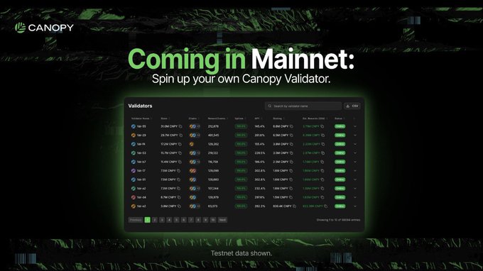 The image is a promotional graphic for Canopy Network announcing "Coming in Mainnet: Spin up your own Canopy Validator," featuring a dashboard with a testnet validator list showing node IDs, versions, stakes, APYs (e.g., 302.1%, 200.1%, 238.5%), and rewards. It supports the post by highlighting Canopy's upcoming mainnet validator launch, which simplifies the complex task of setting up monitoring, uptime checks, and infrastructure that the tweet references.